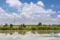 Landscape of green rice field and blue sky and clouds with reflection in wate Royalty Free Stock Photo