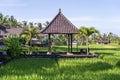 Landscape with green rice fields and a stone arbor in Bali Island, Indonesia. Nature and travel concept Royalty Free Stock Photo