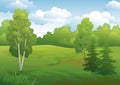 Landscape, green summer forest