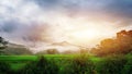 Landscape of green terraced rice field with beautiful fog around