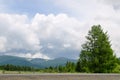 Landscape with green tree and grass in the foothills of Altai mountains Siberia, Russia Royalty Free Stock Photo