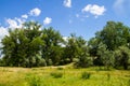 Landscape with green trees, meadow and blue sky