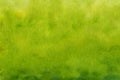 Landscape green watercolor grass field with blur trees background