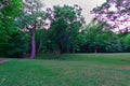 A landscape in the green woods in a summer sunny day at mountain, Mount Royal, Montreal, Canada Royalty Free Stock Photo