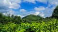 Landscape of Greenish mountain under blue sky Royalty Free Stock Photo