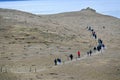 Landscape of a group of people hiking through a penguin nesting area on Magdalena Island, Chile
