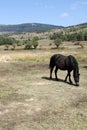 Landscape in Gudar mountains,Teruel,Spain