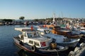 Landscape of the harbour with ships parking and hill background