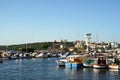 Landscape of the harbour with ships parking and hill background