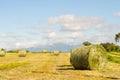 Landscape of hay bales. Royalty Free Stock Photo