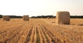 Landscape with hay roll Royalty Free Stock Photo