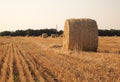 Landscape with hay roll Royalty Free Stock Photo