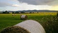 Hay rolls field in sunset 2/2 Royalty Free Stock Photo