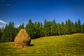 Landscape with hay stack Royalty Free Stock Photo