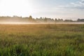 Landscape with haze over Ros river, Ukraine Royalty Free Stock Photo