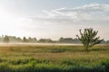 Landscape with haze over Ros river, Ukraine Royalty Free Stock Photo