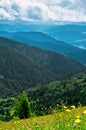 Landscape from the height of the mountain slopes, the blue distance, meadow, lonely tree