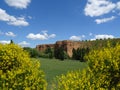 Landscape in the River Henares. Guadalajara. Spain. Royalty Free Stock Photo