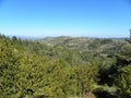 Landscape in herault, languedoc, france