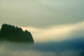 Landscape in high fog Royalty Free Stock Photo