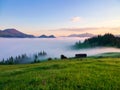 Landscape with high mountains. Fields and meados are covered with morning fog and dew. Sunrise. Forest of the pine trees. The Royalty Free Stock Photo