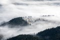 Landscape with high mountains. Fields and meadow are covered with morning fog and dew. Forest of the pine trees. The early morning Royalty Free Stock Photo