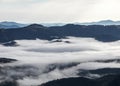 Landscape with high mountains. Fields and meadow are covered with morning fog and dew. Forest of the pine trees. The early morning Royalty Free Stock Photo