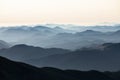 Landscape with high mountains. Fields and meadow are covered with morning fog and dew. Forest of the pine trees. The early morning Royalty Free Stock Photo