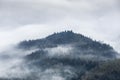 Landscape with high mountains. Fields and meadow are covered with morning fog and dew. Forest of the pine trees. The early morning Royalty Free Stock Photo