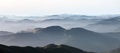 Landscape with high mountains. Fields and meadow are covered with morning fog and dew. Forest of the pine trees. Royalty Free Stock Photo