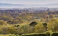 Landscape of the High Weald in Sussex looking over the tree tops in spring - early morning