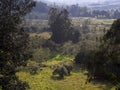 Landscape of the highlands of the central Andean mountains of Colombia