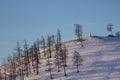 Landscape of hill covered by snow and pine tree near Khovsgol in Mongolia Royalty Free Stock Photo