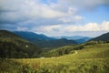 Landscape on the hill, with green grass, trees and blue sky Royalty Free Stock Photo