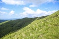 Landscape on the hill, with green grass, trees and blue sky Royalty Free Stock Photo