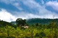 Landscape of hill house and tress Royalty Free Stock Photo