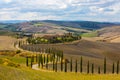 Landscape of hills, country road, cypresses trees and rural houses