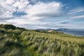 Landscape of hills covered in the grass surrounded by the Rossbeigh Strand and the sea in Ireland