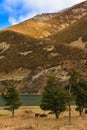 Landscape with hills and lake in the Southern Alps, New Zealand