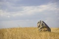 Landscape with hills, large stone and blue sky. south of russia, summer. yellow grass in late August