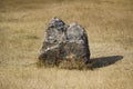 Landscape with hills and large stone. south of russia, summer. yellow grass in late August