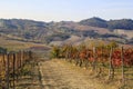 Hills for production of italian wine Royalty Free Stock Photo