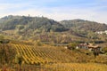 Vineyard landscape of Oltrepo Pavese