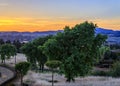 Landscape at a vineyard in the spring in Napa Valley, California, USA Royalty Free Stock Photo