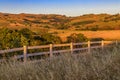 Landscape at a vineyard in the spring in Napa Valley, California, USA Royalty Free Stock Photo