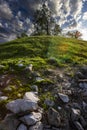 landscape of a hilltop with trees under a cloudy sky