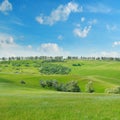 Landscape with hilly field and sky