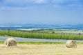 landscape with hops garden, Czech Republic Royalty Free Stock Photo