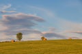 Landscape with horizon bales of straw on the horizon in a sunny summer day. Royalty Free Stock Photo