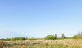 The landscape the horizon in the marshland with blue sky Royalty Free Stock Photo